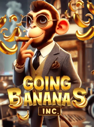 Bingo Bonanza game cover